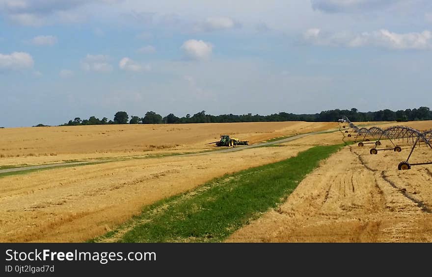 Amber Waves of Grain