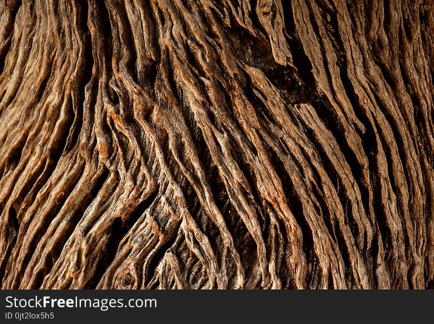 Closeup of Old and Grunge Wooden Texture Surface Background, Dark Brown