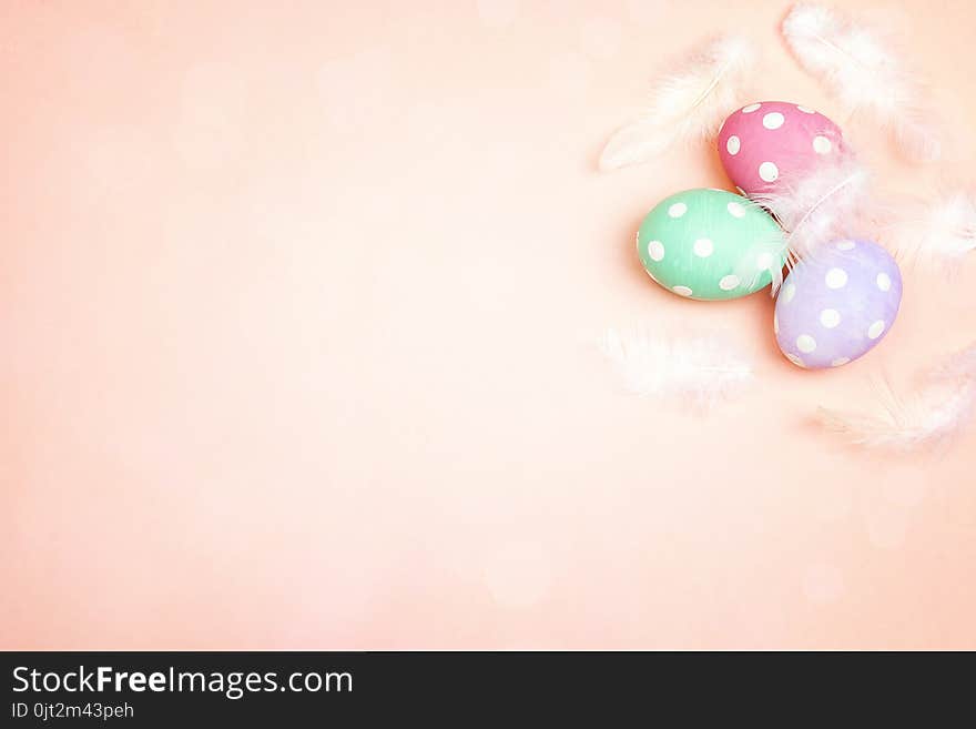 Colored Easter eggs with feathers on pink background. Space for text. Top view.