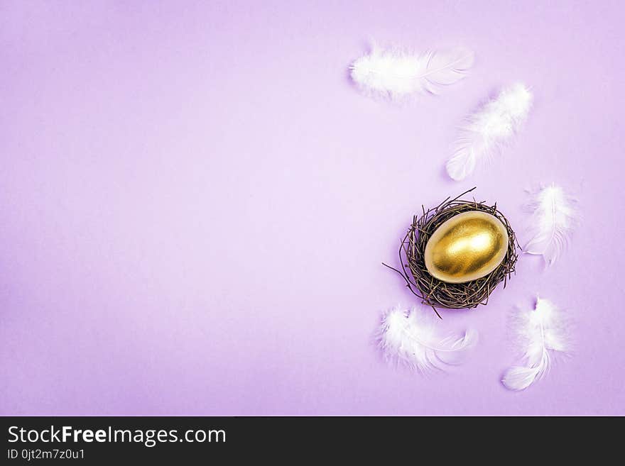 Golden egg in the nest with feathers on violet background. Space