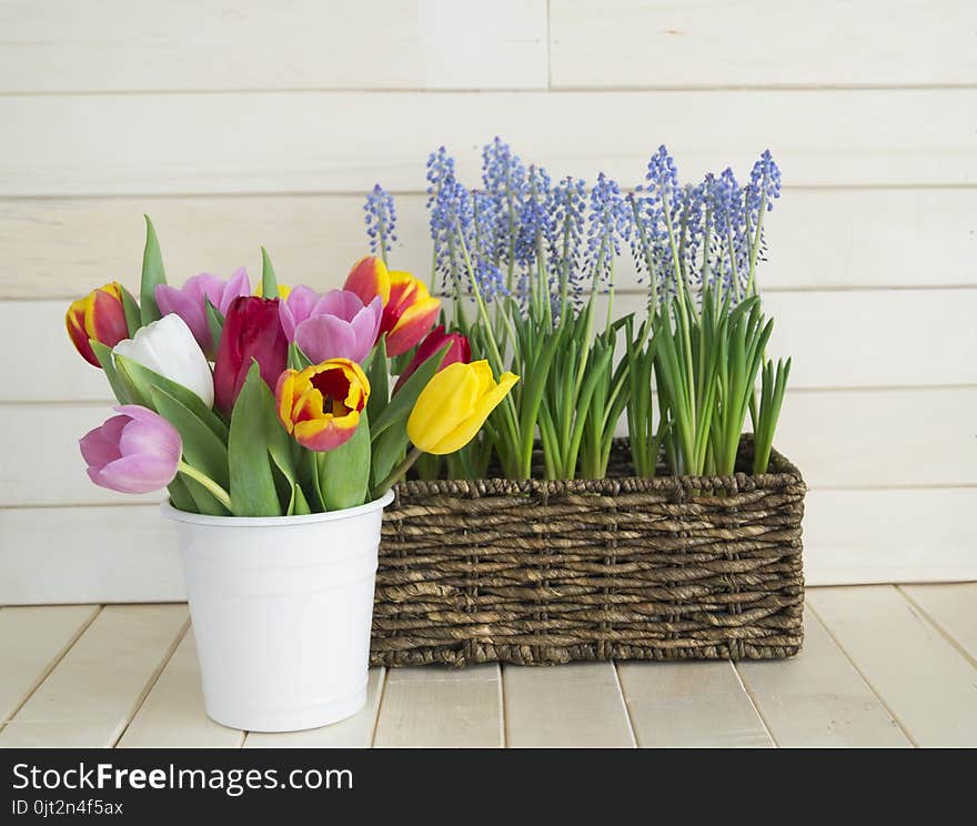 Spring bouquet for mom. View from above. The child gives a gift. A bouquet of yellow, red and orange tulips in a crafted package. Valentine`s Day. Wooden background. Mother`s Day and March 8th.