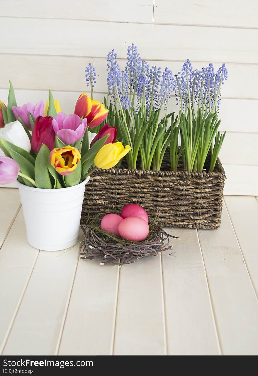 Easter. Pink easter eggs and tulips lie on a wooden background. Flat lay.