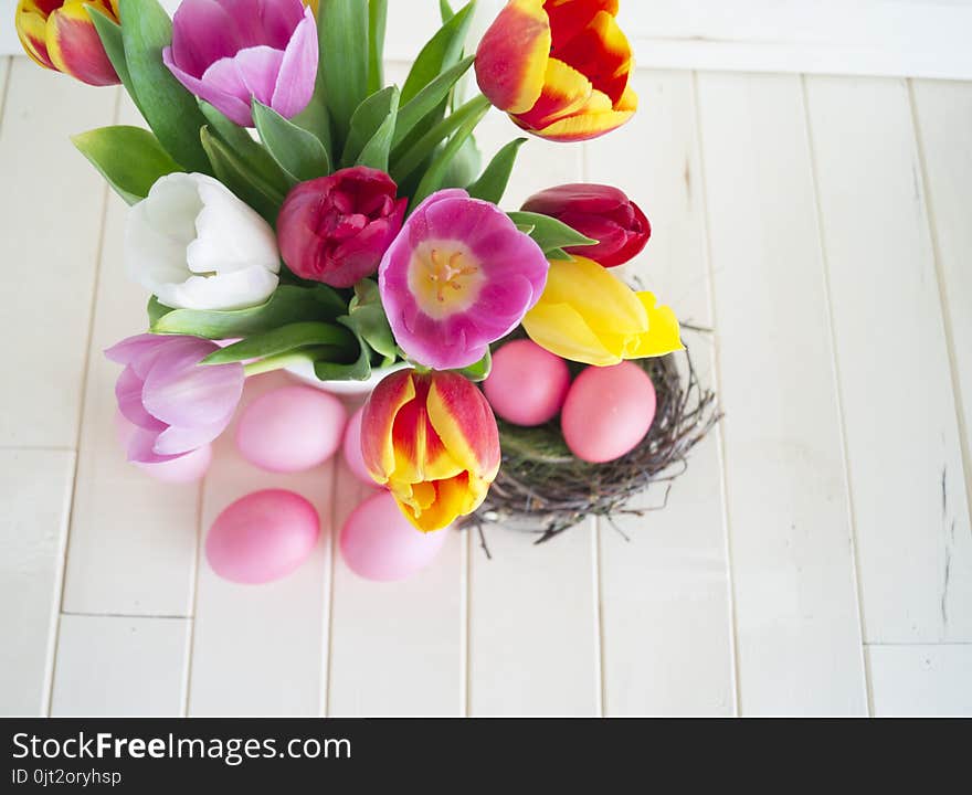 Easter. Pink easter eggs and tulips lie on a wooden background. Flat lay. Bird`s Nest. March 8. Pastel shades of pink. Wooden background. Conceptual photo. St. Patrick`s Day. Easter pink rabbit.