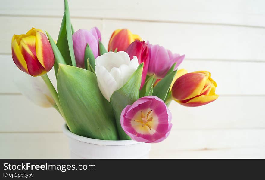 Easter. Pink easter eggs and tulips lie on a wooden background. Flat lay. Bird`s Nest. March 8. Pastel shades of pink. Wooden background. Conceptual photo. St. Patrick`s Day. Easter pink rabbit.