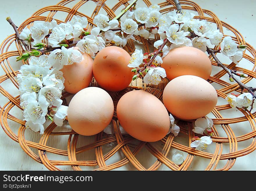 Painted Easter eggs basket and cherry tree blossom. Painted Easter eggs basket and cherry tree blossom