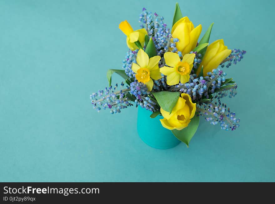 Bouquet of daffodils, tulips and Muscari.Easter. Easter eggs are blue and turquoise. Blue background. The 8th of March,mother`s day. Gift bouquet in a vase.