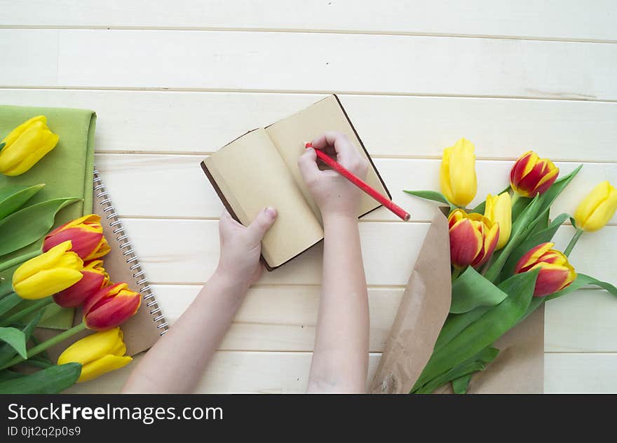 Children`s hands write in a notebook. A letter to my mother from the child. The girl writes congratulations. View from above. The child gives a gift. A bouquet of tulips is yellow, red and orange.