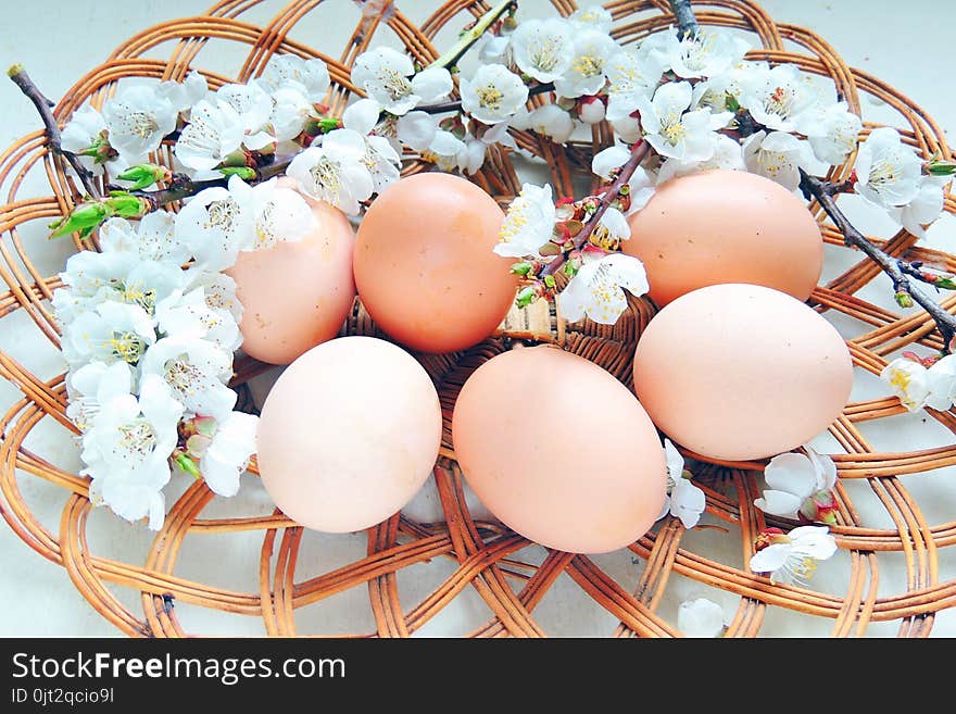 Painted Easter eggs basket and cherry tree blossom. Painted Easter eggs basket and cherry tree blossom