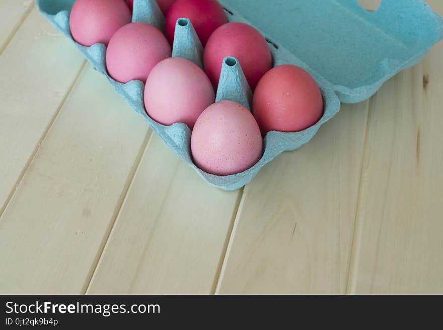 Easter.Pastel colored eggs.Spring composition.Flat ley.