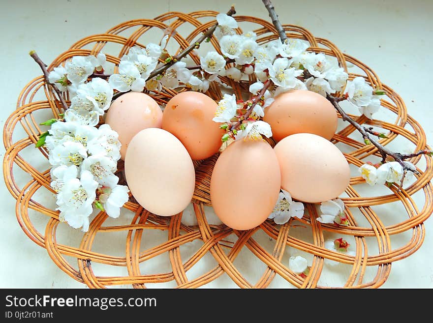 Painted Easter eggs basket and cherry tree blossom. Painted Easter eggs basket and cherry tree blossom