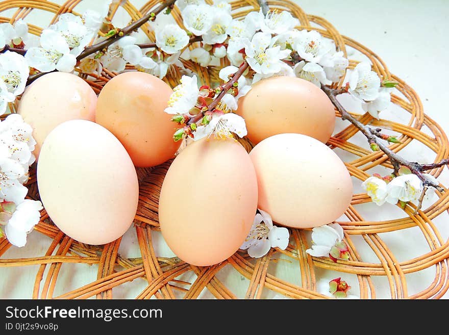 Easter eggs and cherry twigs