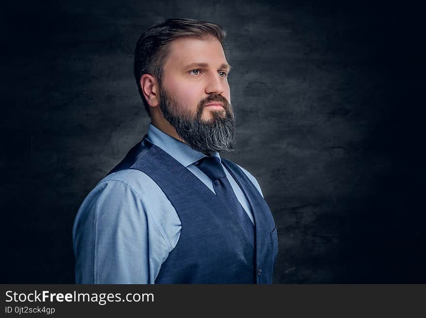 Portrait of elegant bearded middle age male.