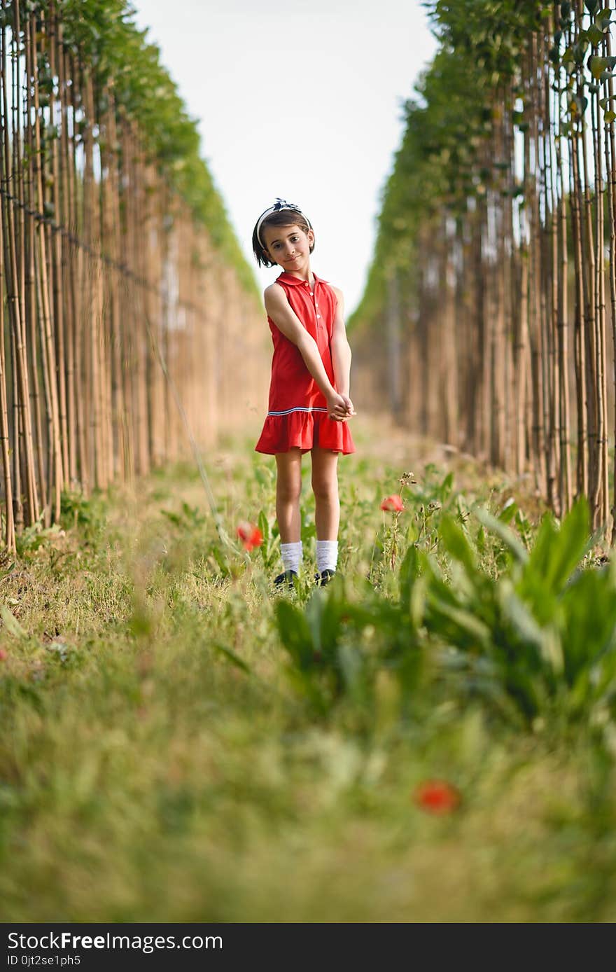 Little girl walking in nature field wearing beautiful dress