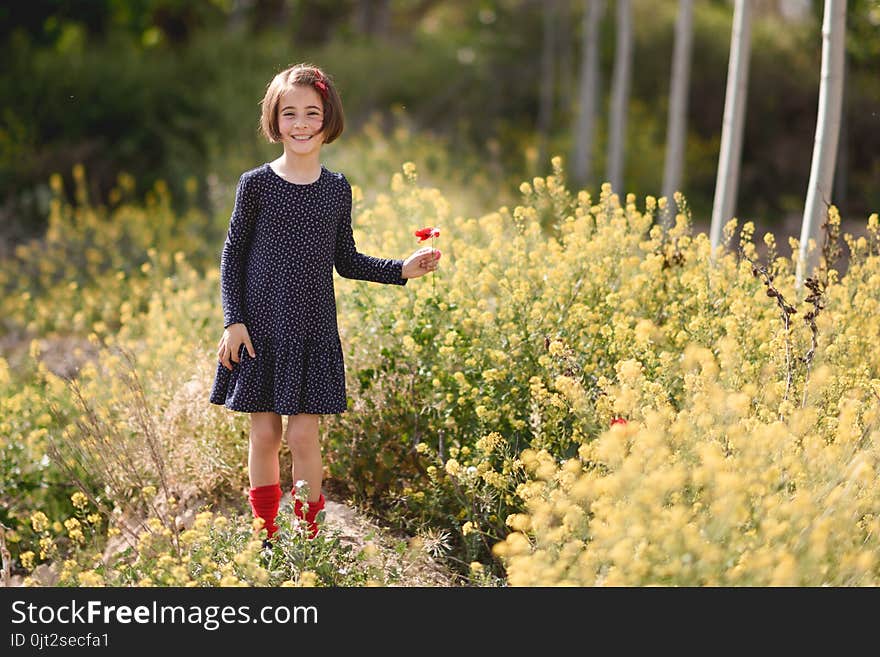 Little girl walking in nature field wearing beautiful dress with flowers in her hand.