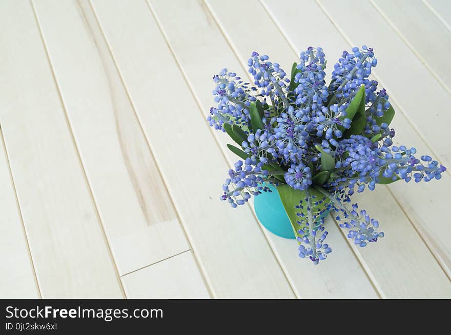 A bouquet of Muscari. Wooden background. The view from the top.