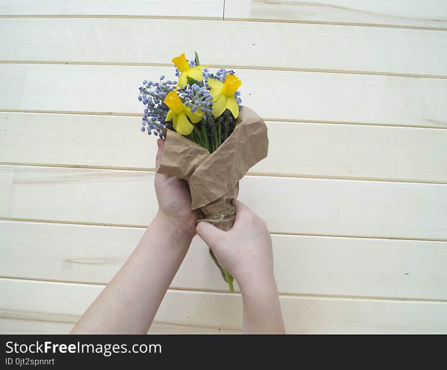 Children`s hands collect a bouquet as a gift. A gift for mom. Spring festive bouquet in a crafting package. Pruning flowers. The child is a florist. Wooden background. Field bouquet. Eco-style.