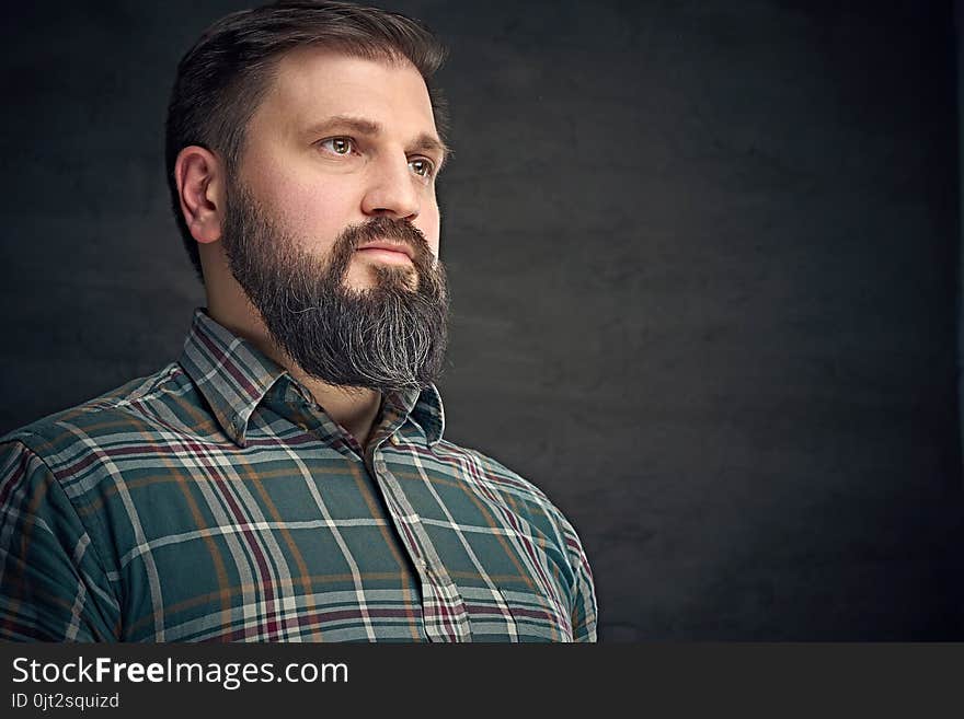 Portrait of serious middle age bearded male dressed in plaid flannel shirt over grey background. Portrait of serious middle age bearded male dressed in plaid flannel shirt over grey background.