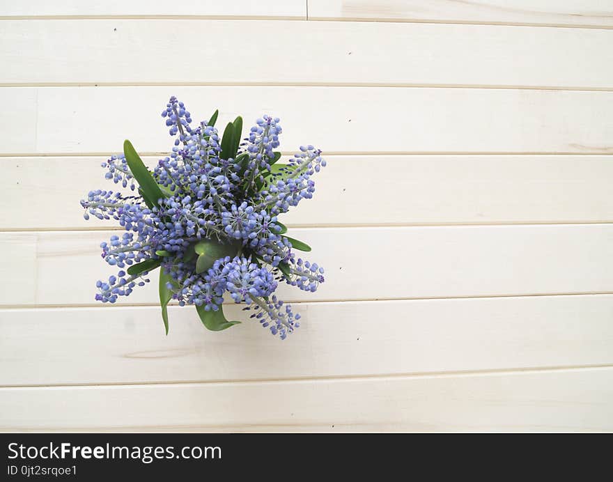 A bouquet of Muscari. Wooden background. The view from the top.