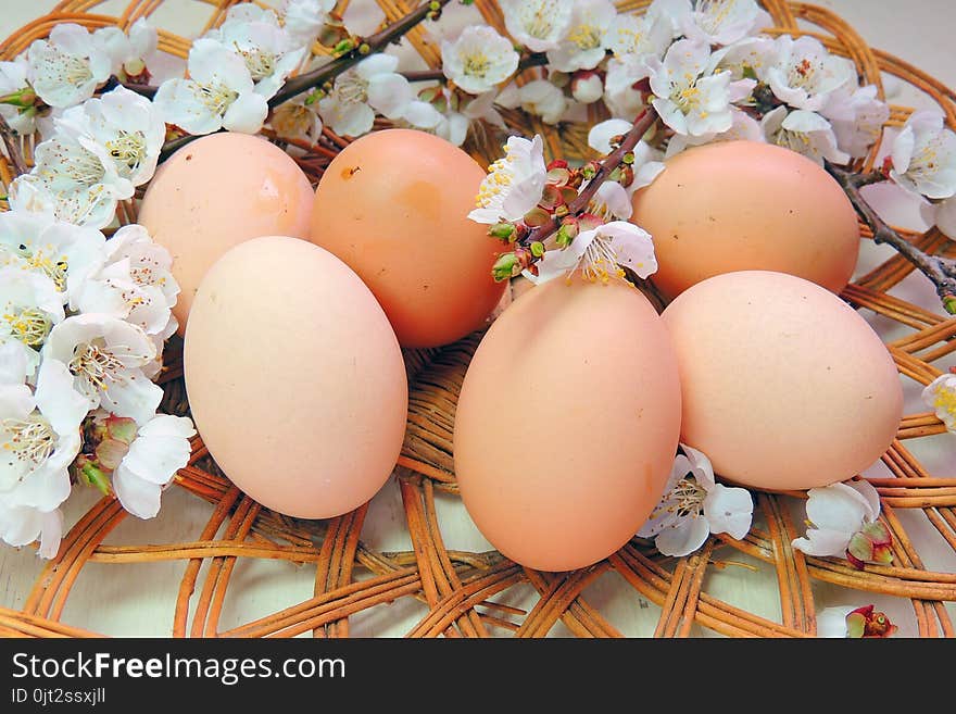 Easter Eggs And Cherry Twigs