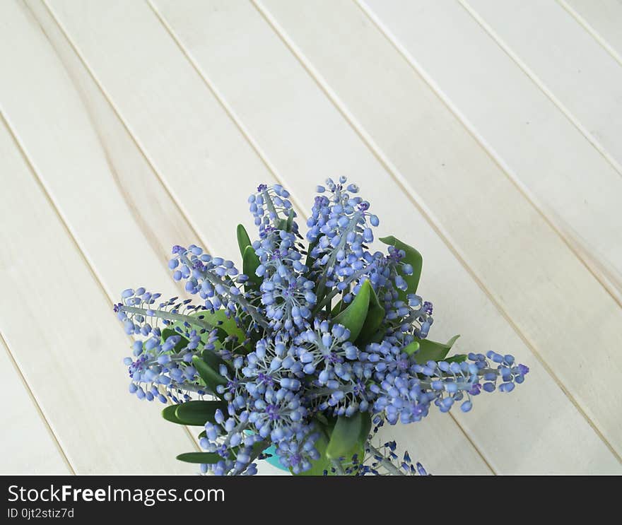 A Bouquet Of Muscari. Wooden Background. The View From The Top.