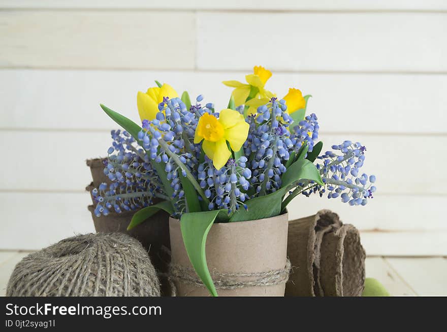 Bouquet of daffodils, tulips and Muscari.Easter. Easter eggs are blue and turquoise.The bird`s nest. Wooden background. The style of eco.Green,brown,blue, lilac and yellow.