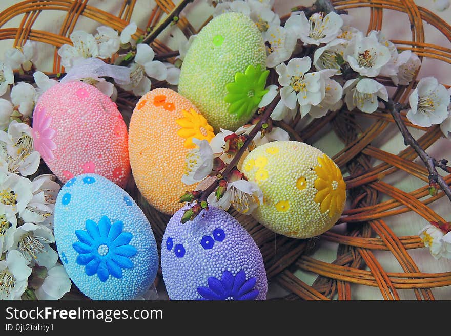 Painted Easter eggs basket and cherry tree blossom. Painted Easter eggs basket and cherry tree blossom