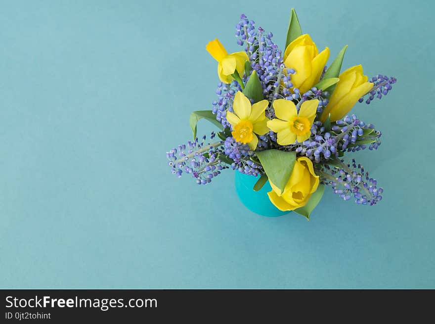 Bouquet of daffodils, tulips and Muscari.Easter. Easter eggs are blue and turquoise. Blue background. The 8th of March,mother`s day. Gift bouquet in a vase.