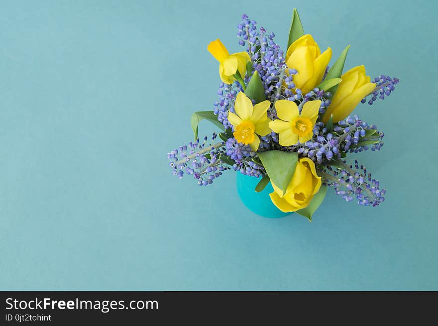 Bouquet of daffodils, tulips and Muscari.Easter. Easter eggs are blue and turquoise.