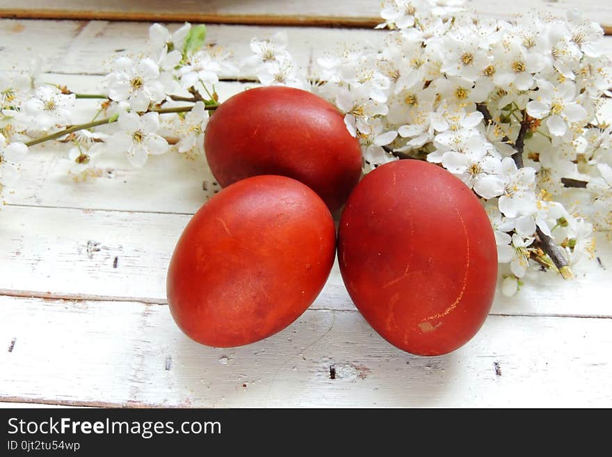 Easter eggs and cherry twigs