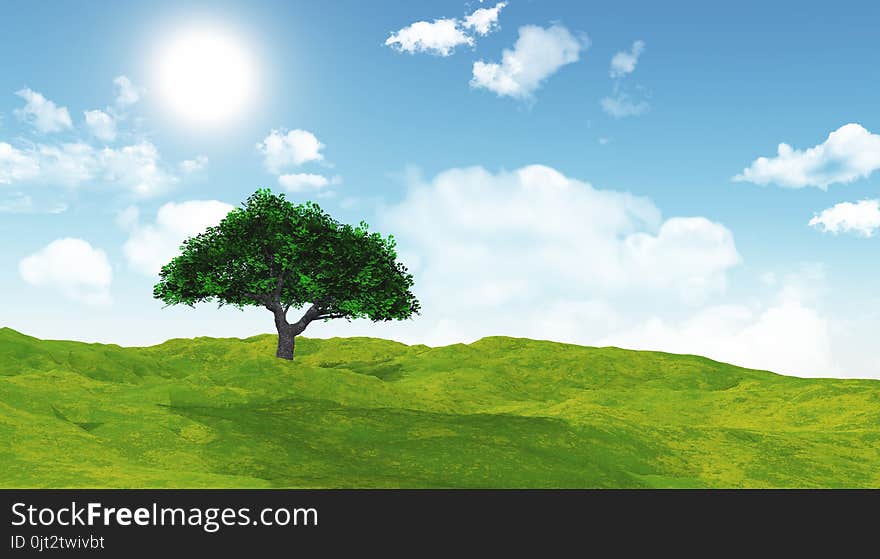 3D cherry tree in a grassy landscape