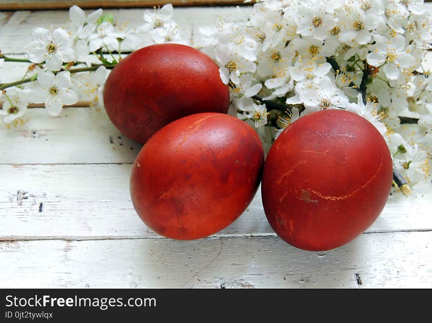 Painted Easter eggs basket and cherry tree blossom. Painted Easter eggs basket and cherry tree blossom