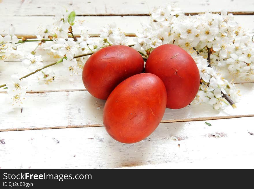 Easter eggs and cherry twigs