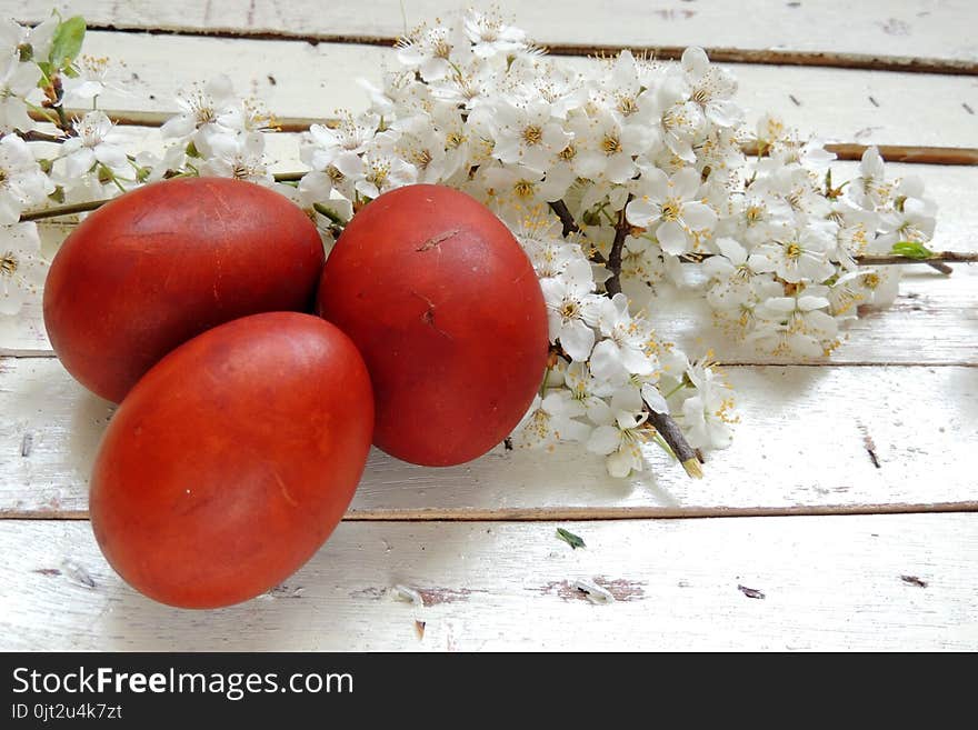 Easter Eggs And Cherry Twigs