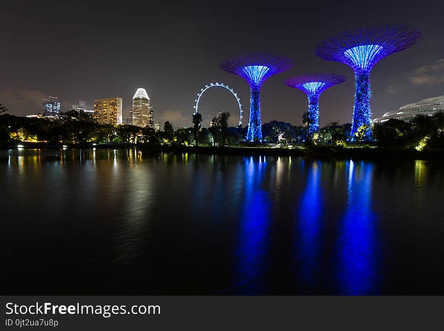 Night shot of Singapore skyline with Gardens by the Bay supertrees, Singapore Flyer and hotels reflected in water