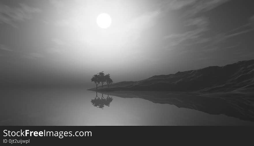 3D Foggy Landscape With Trees On Island In Grayscale