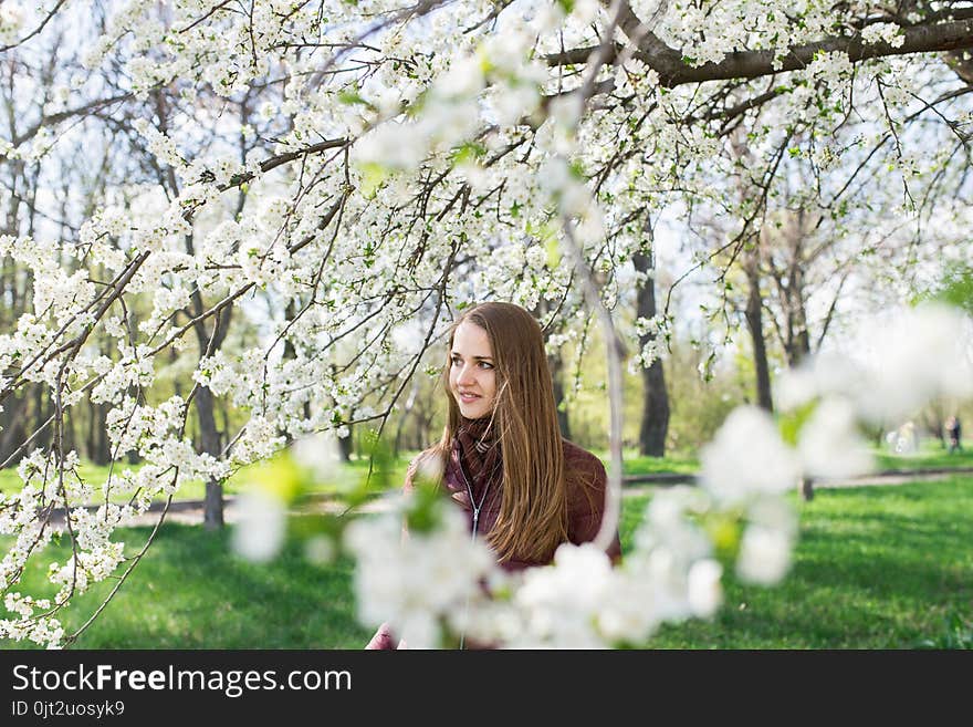 A young beautiful girl with long hair and a brown scarf is wrapped around the neck into the blossoming apple tree. Spring