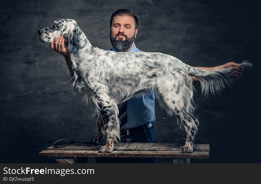 Stylish bearded middle age male and Irish setter. Stylish bearded middle age male and Irish setter.