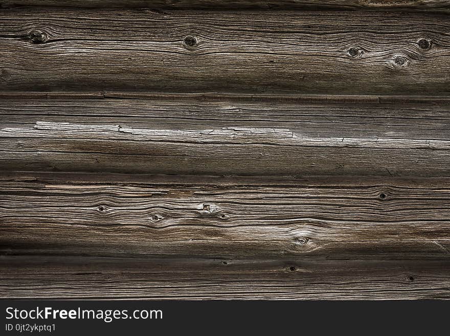 Texture Of Old Weathered Tree Close-up Outdoors