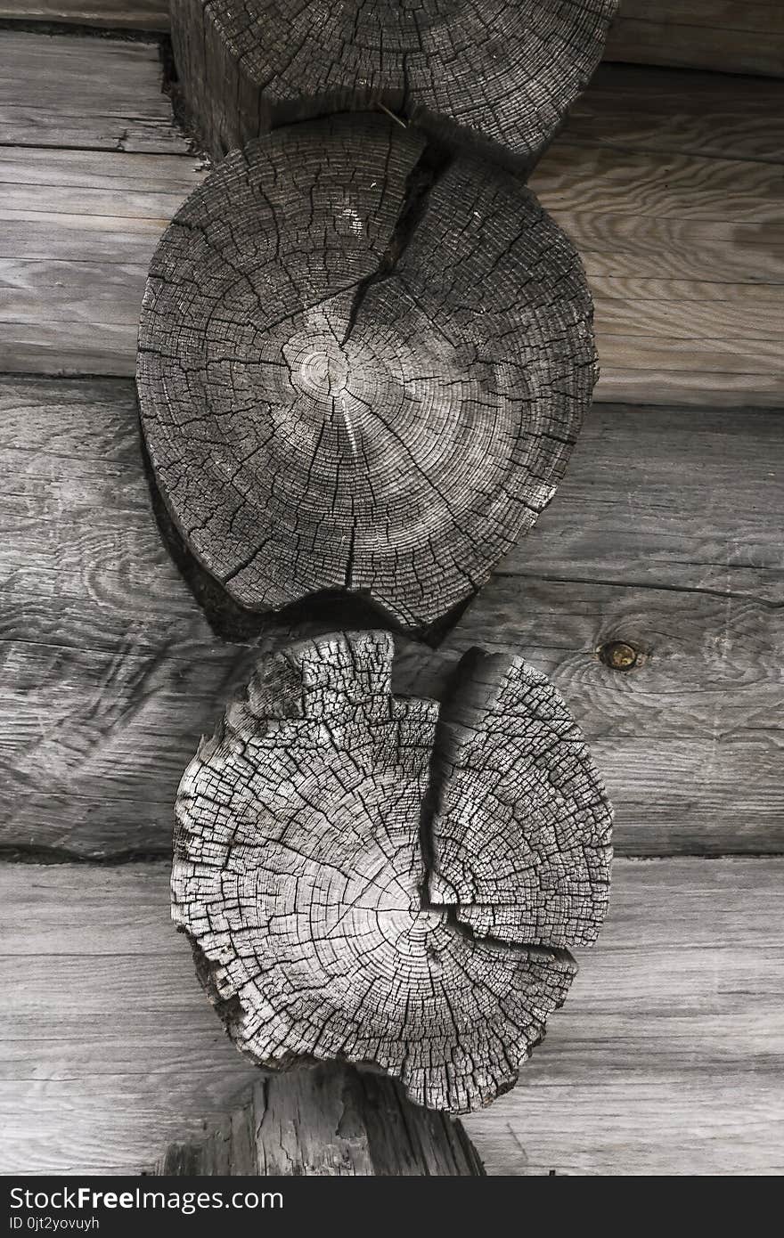 Texture Of Old Weathered Tree Close-up Outdoors