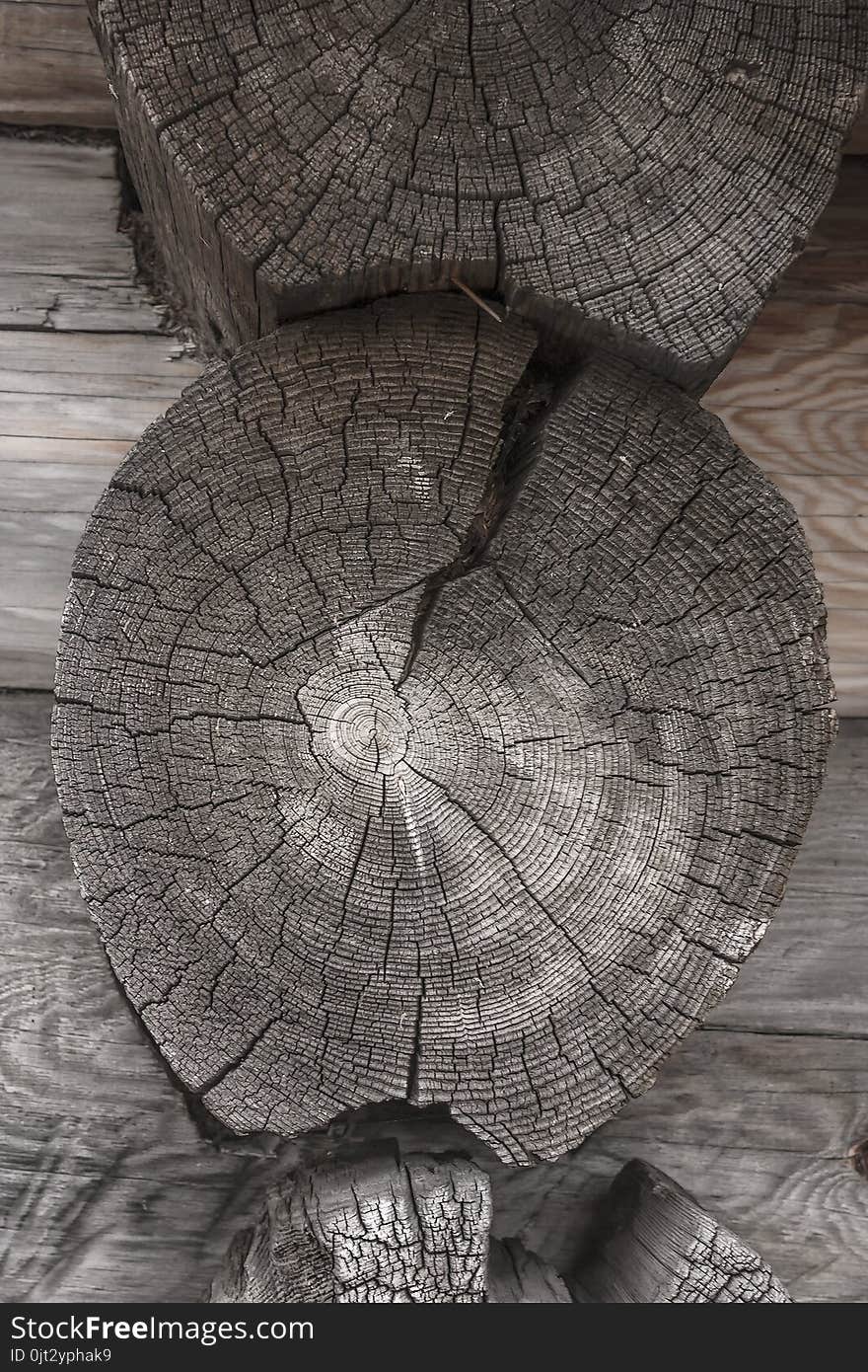 Texture of old weathered tree close-up outdoors