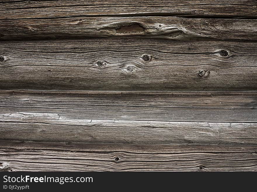 Texture Of Old Weathered Tree Close-up Outdoors