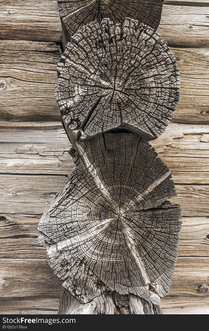 Texture of old weathered tree close-up outdoors