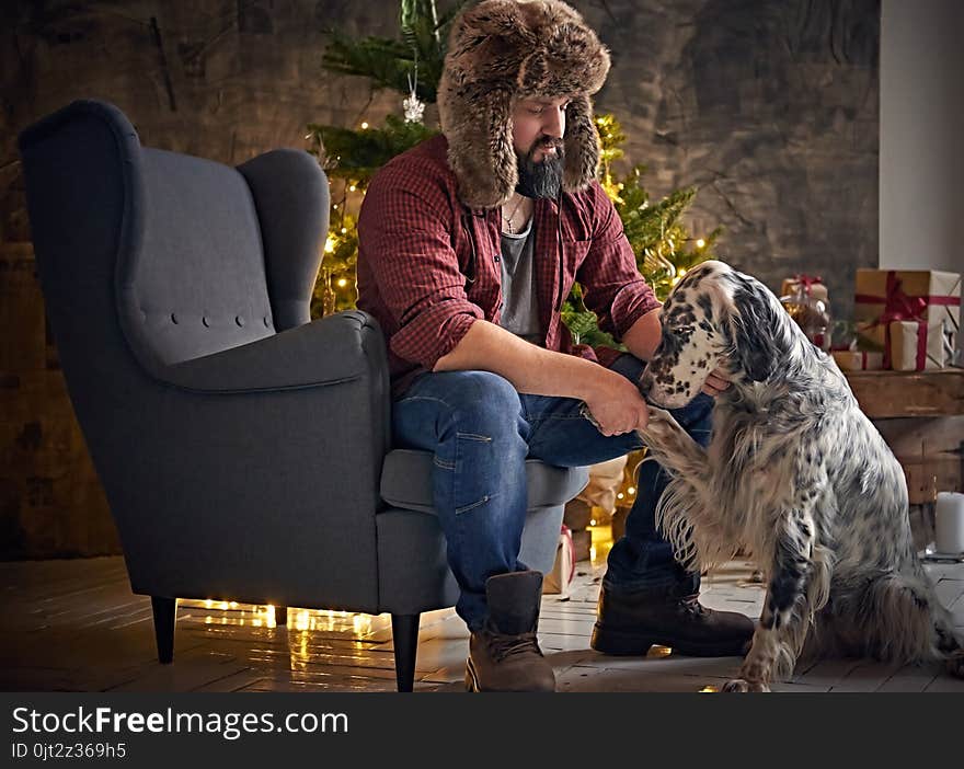 Bearded middle age male dressed in a plaid shirt and fur hat and two Irish setter dogs with fir tree and Christmas decoration on background. Bearded middle age male dressed in a plaid shirt and fur hat and two Irish setter dogs with fir tree and Christmas decoration on background.