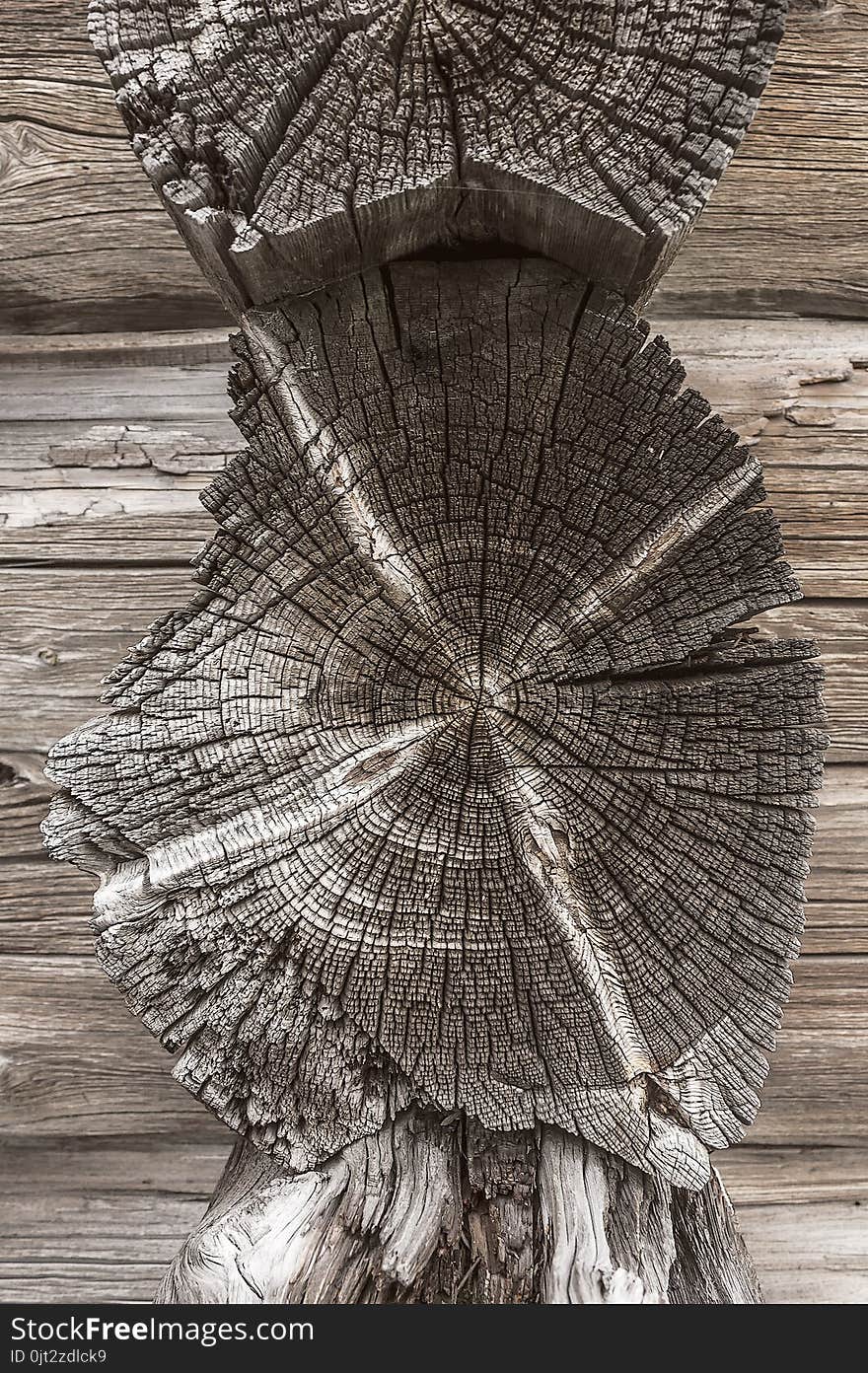 Texture Of Old Weathered Tree Close-up Outdoors