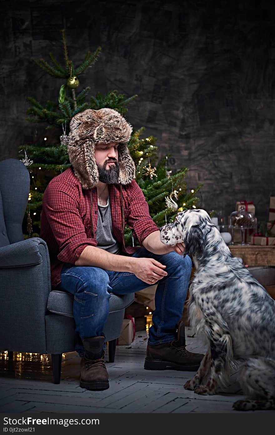 Bearded middle age male dressed in a plaid shirt and fur hat and two Irish setter dogs with fir tree and Christmas decoration on background. Bearded middle age male dressed in a plaid shirt and fur hat and two Irish setter dogs with fir tree and Christmas decoration on background.