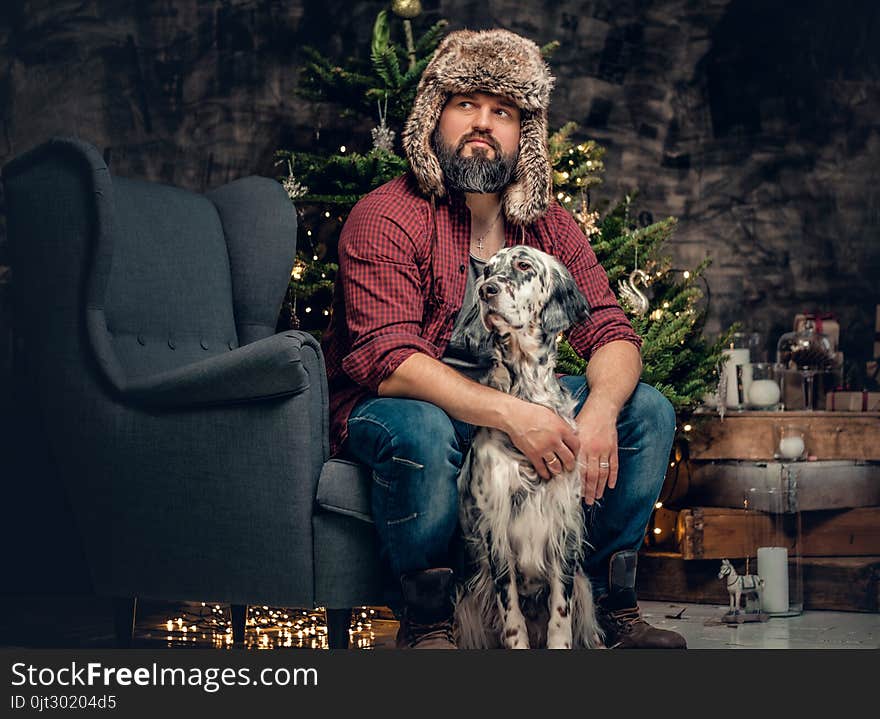 Bearded middle age male dressed in a plaid shirt and fur hat and two Irish setter dogs with fir tree and Christmas decoration on background. Bearded middle age male dressed in a plaid shirt and fur hat and two Irish setter dogs with fir tree and Christmas decoration on background.