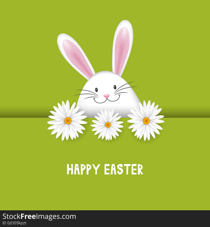 Easter background with cute bunny and daisies