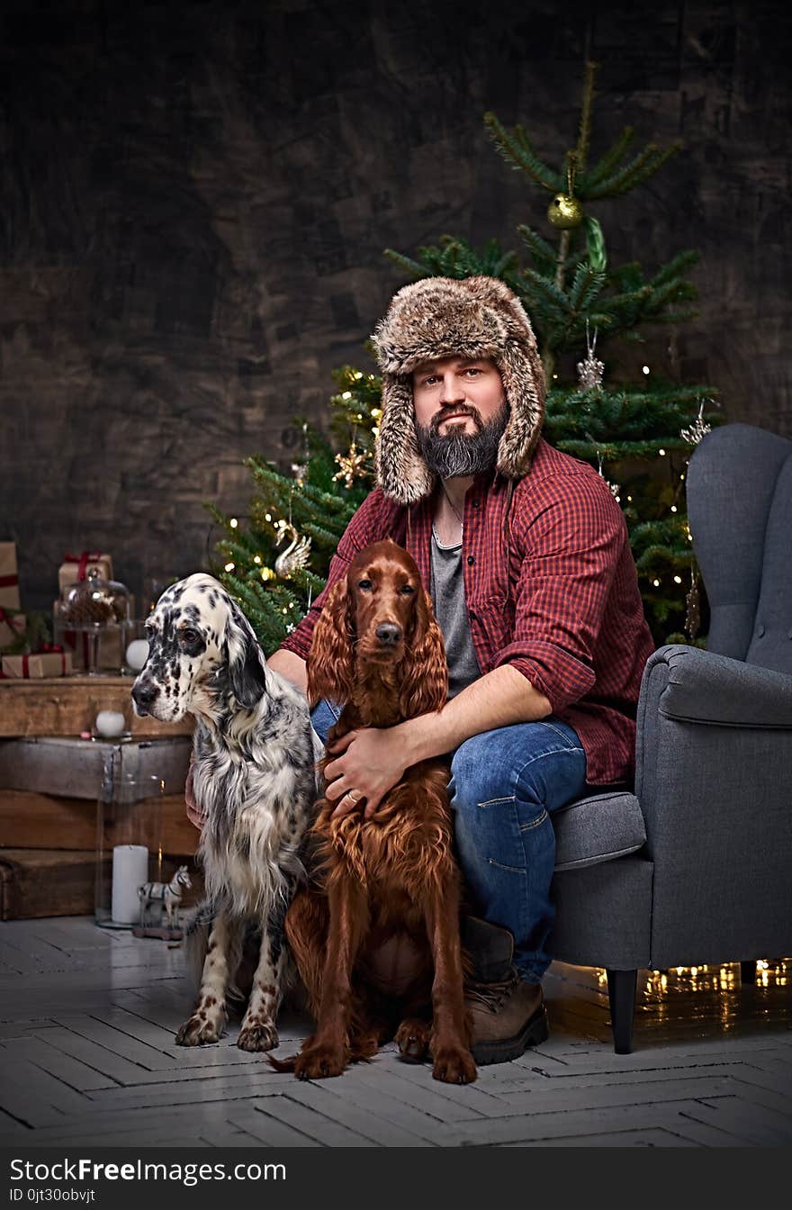 Bearded middle age male dressed in a plaid shirt and fur hat and two Irish setter dogs with fir tree and Christmas decoration on background. Bearded middle age male dressed in a plaid shirt and fur hat and two Irish setter dogs with fir tree and Christmas decoration on background.