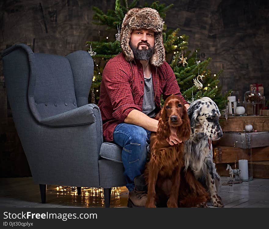 Bearded middle age male dressed in a plaid shirt and fur hat and two Irish setter dogs with fir tree and Christmas decoration on background. Bearded middle age male dressed in a plaid shirt and fur hat and two Irish setter dogs with fir tree and Christmas decoration on background.