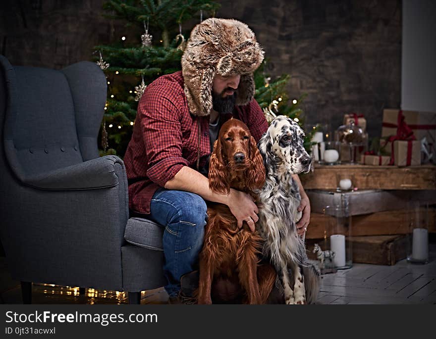 Bearded middle age male dressed in a plaid shirt and fur hat and two Irish setter dogs with fir tree and Christmas decoration on background. Bearded middle age male dressed in a plaid shirt and fur hat and two Irish setter dogs with fir tree and Christmas decoration on background.